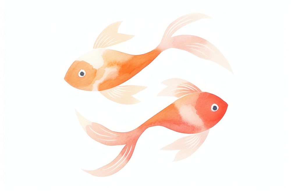 Pisces zodiac symbol goldfish animal white background.