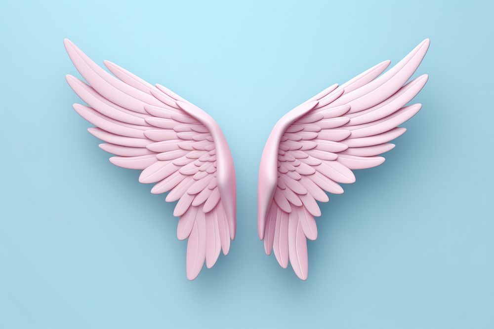 Bird wings angel archangel softness.