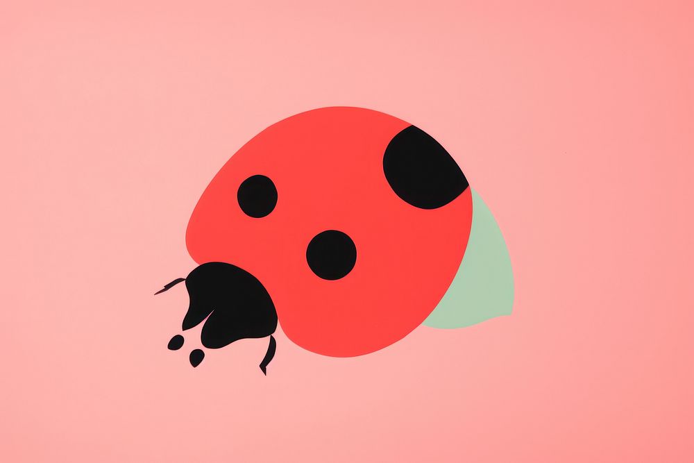Lady bug animal wildlife ladybug.