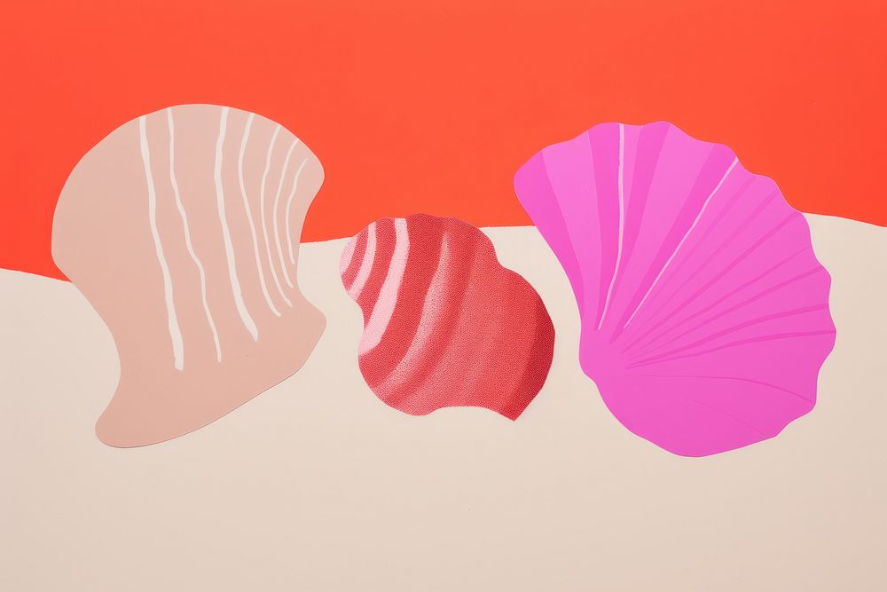 Sea shell art invertebrate creativity.