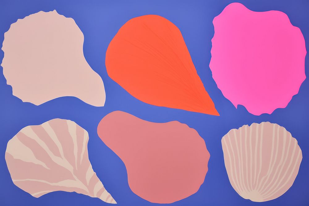 Sea shell petal clam invertebrate.