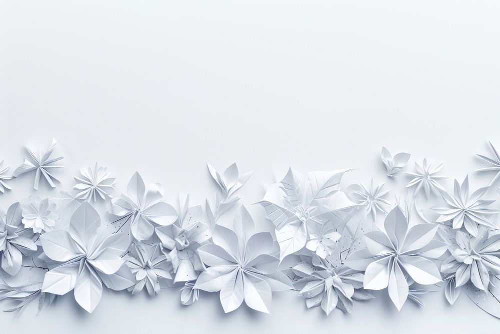 Winter floral on snow border white paper backgrounds.
