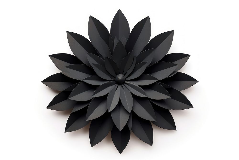 Black flower origami dahlia plant.