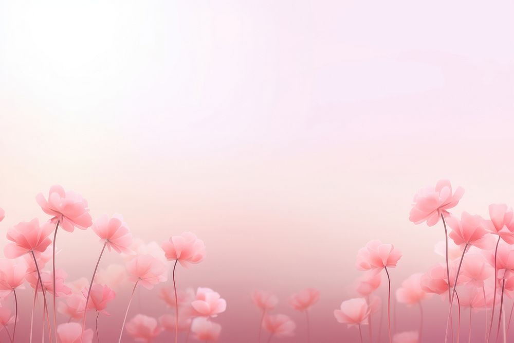 Flower field gradient background backgrounds abstract outdoors.