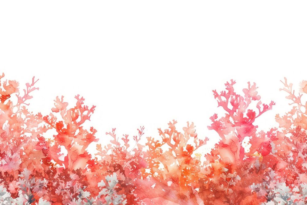 Coral field backgrounds outdoors nature.
