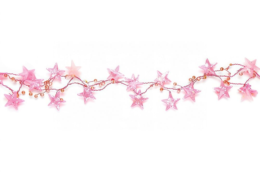 Pink mini star flower plant petal.
