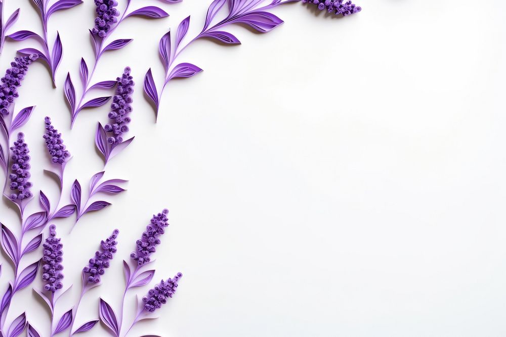 Lavender border lavender flower backgrounds.