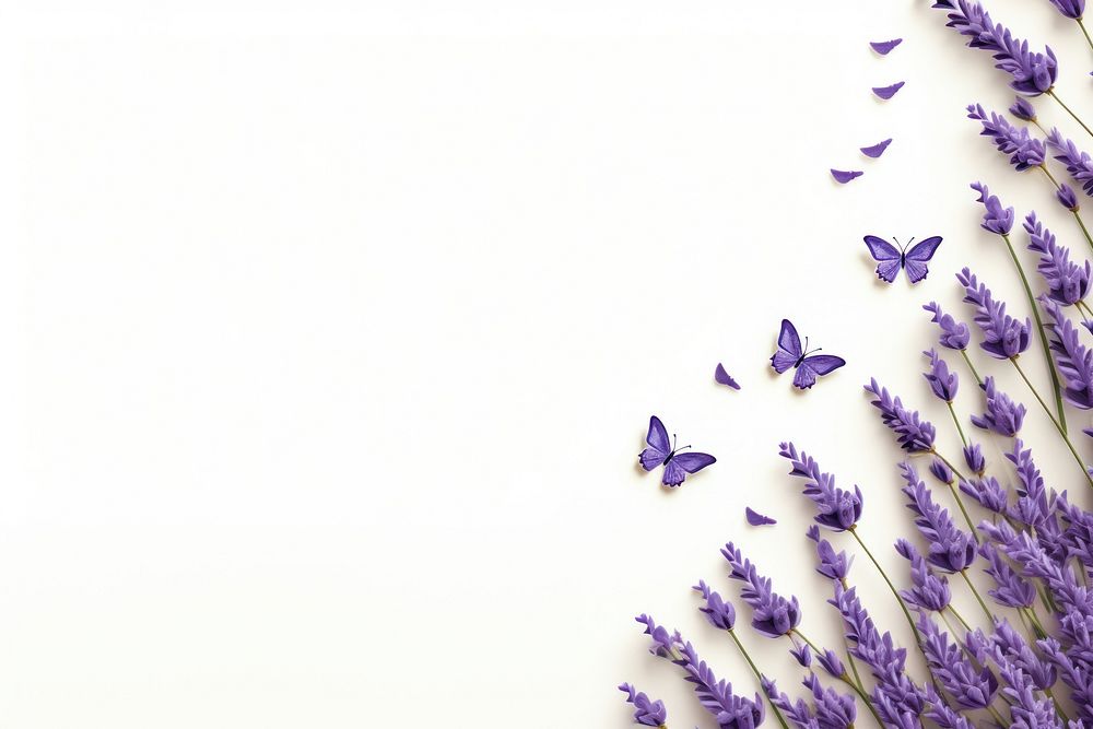 Lavender origami border lavender flower backgrounds.