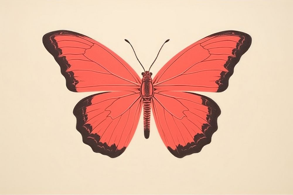 Litograph minimal butterfly animal insect invertebrate.
