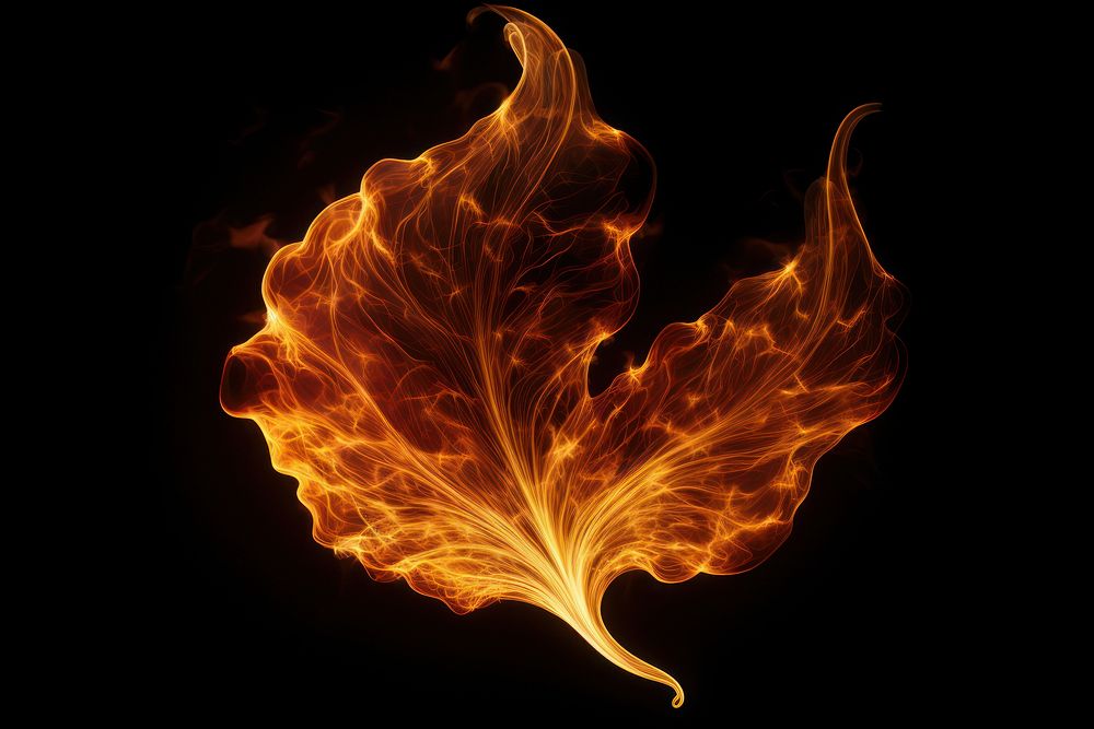 Photo fire in leaf shape burning pattern flame.
