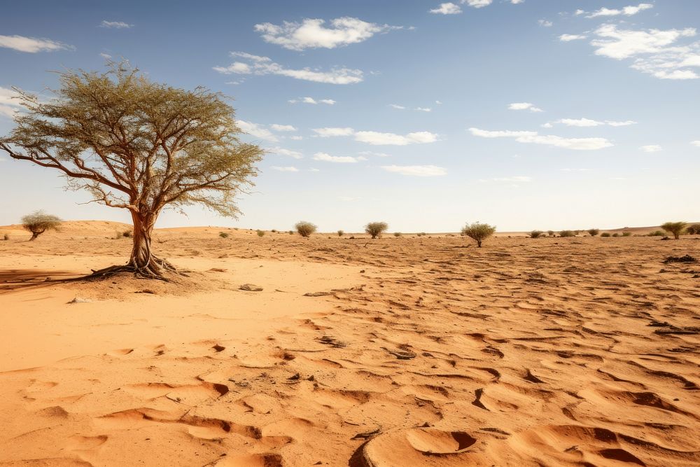 Desert in africa nature landscape outdoors.