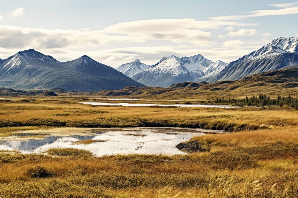 Alaska landscape nature tundra.