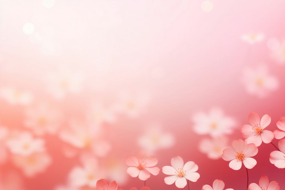 Flowers gradient background backgrounds abstract outdoors.