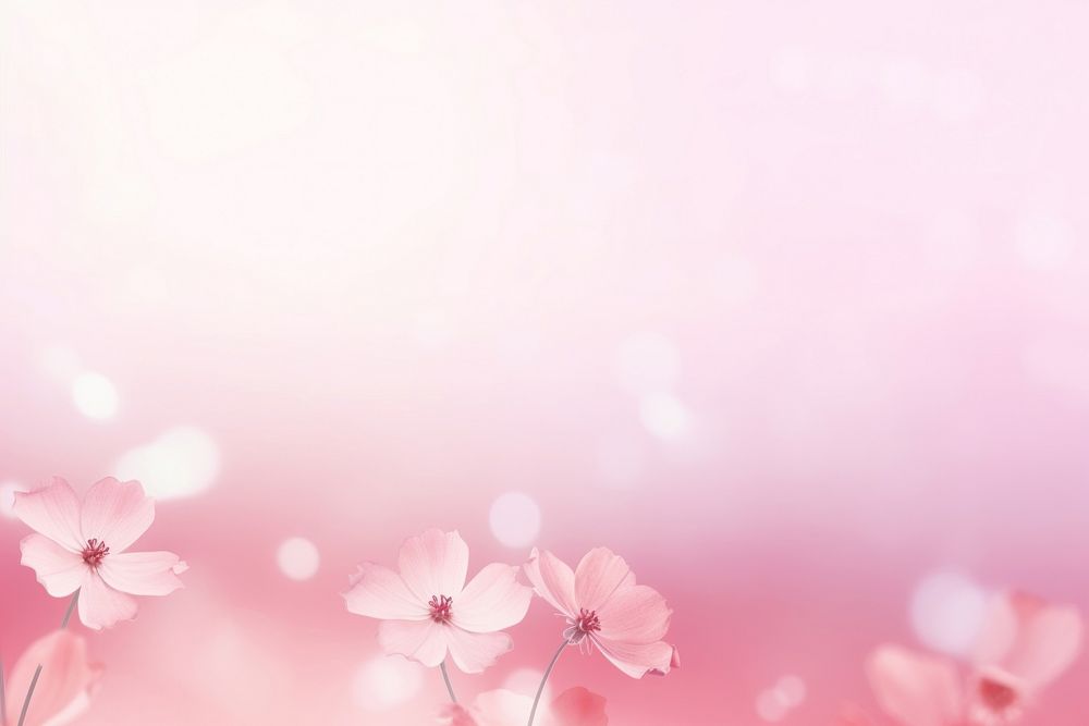 Flowers gradient background backgrounds abstract | Free Photo - rawpixel