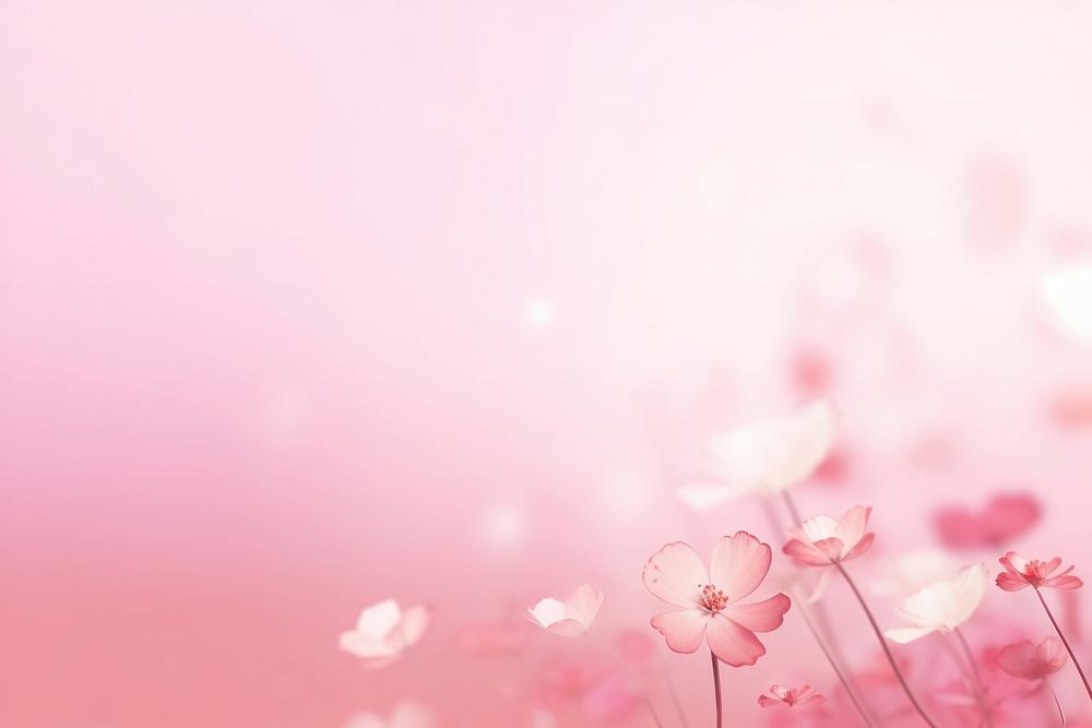 Flowers gradient background backgrounds abstract outdoors.