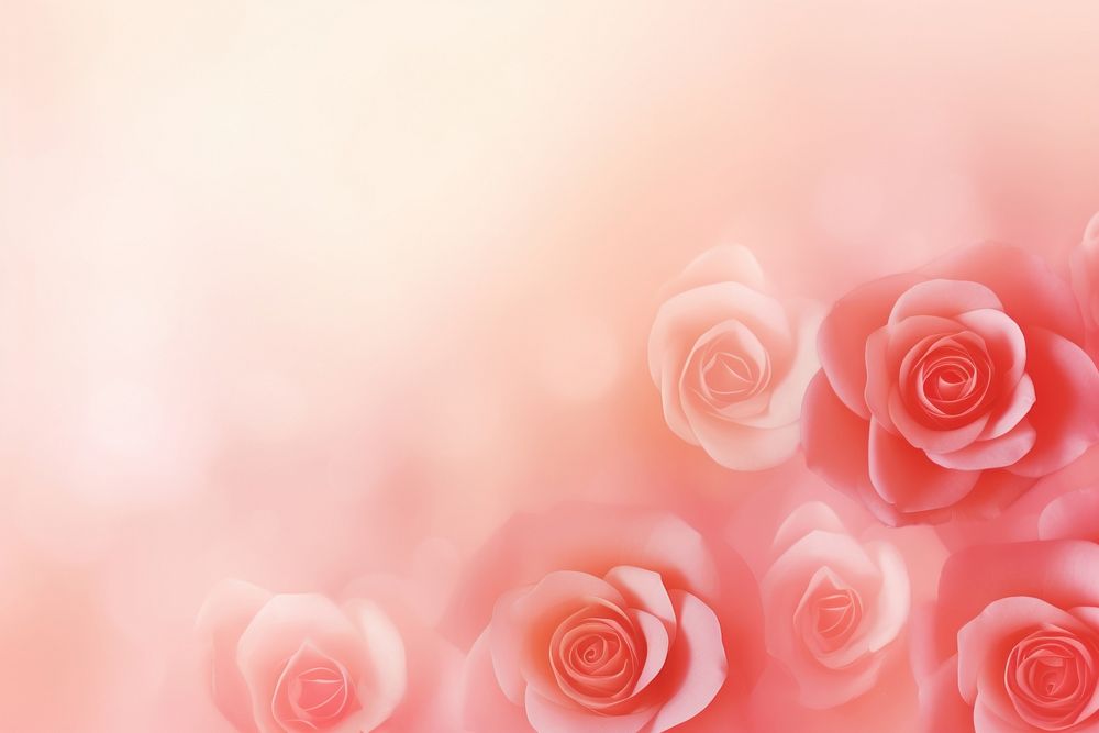 Rose border gradient background backgrounds abstract flower.