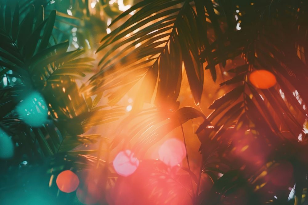 Tropical light leaks backgrounds outdoors nature.