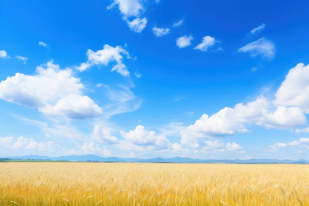 Photo of beautiful blue sky field landscape outdoors.