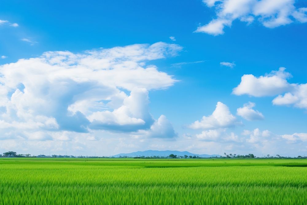 Photo of beautiful blue sky field outdoors horizon.