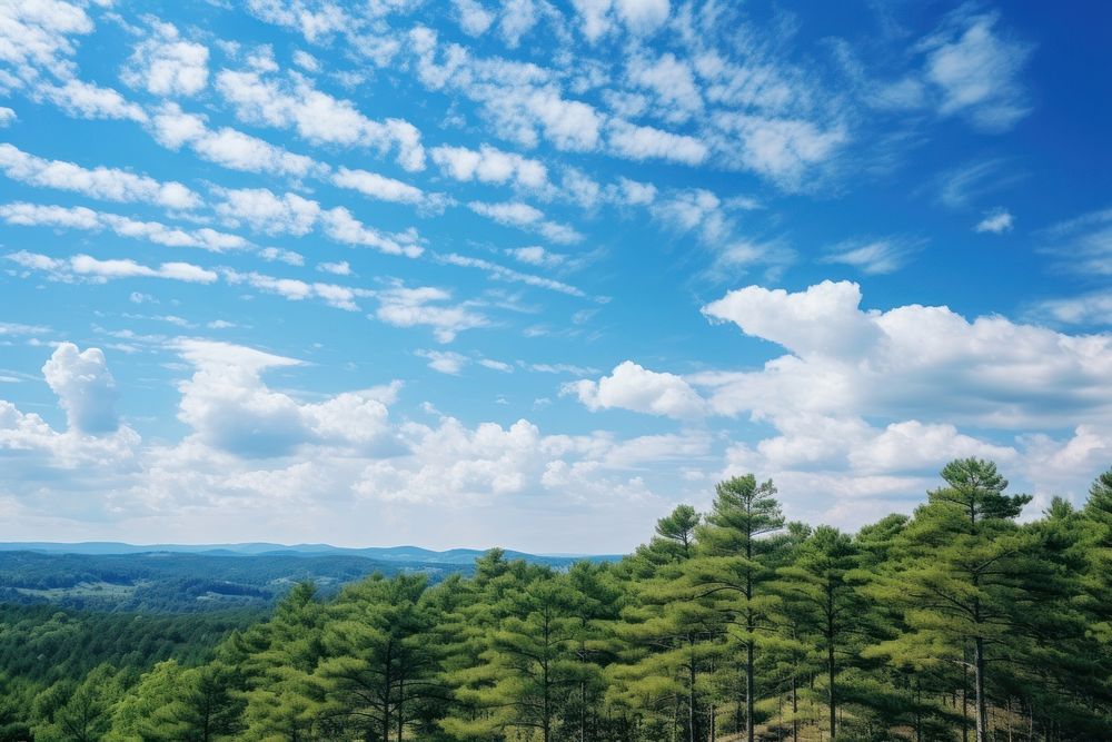 Photo of cloudy blue sky forest tree mountain.