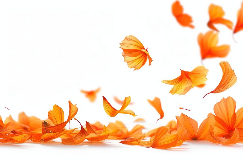 Orange flowers petals flying plant leaf.