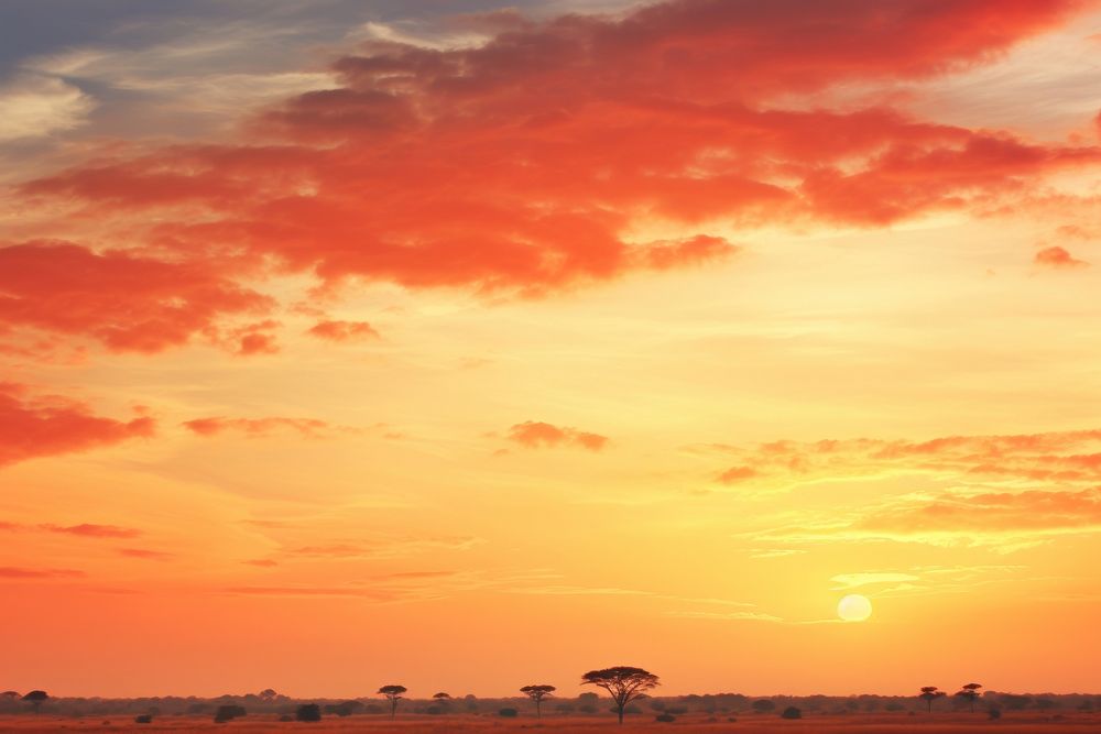 Photo of sunset sky savanna landscape grassland.