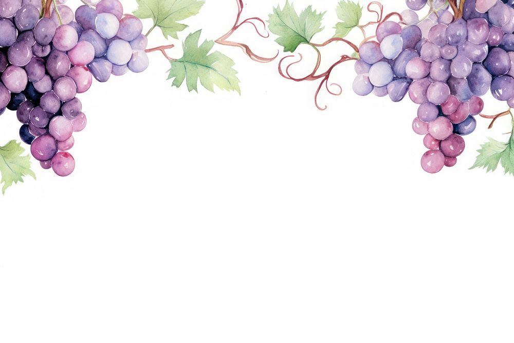 Grapes and vine border watercolor fruit plant food.