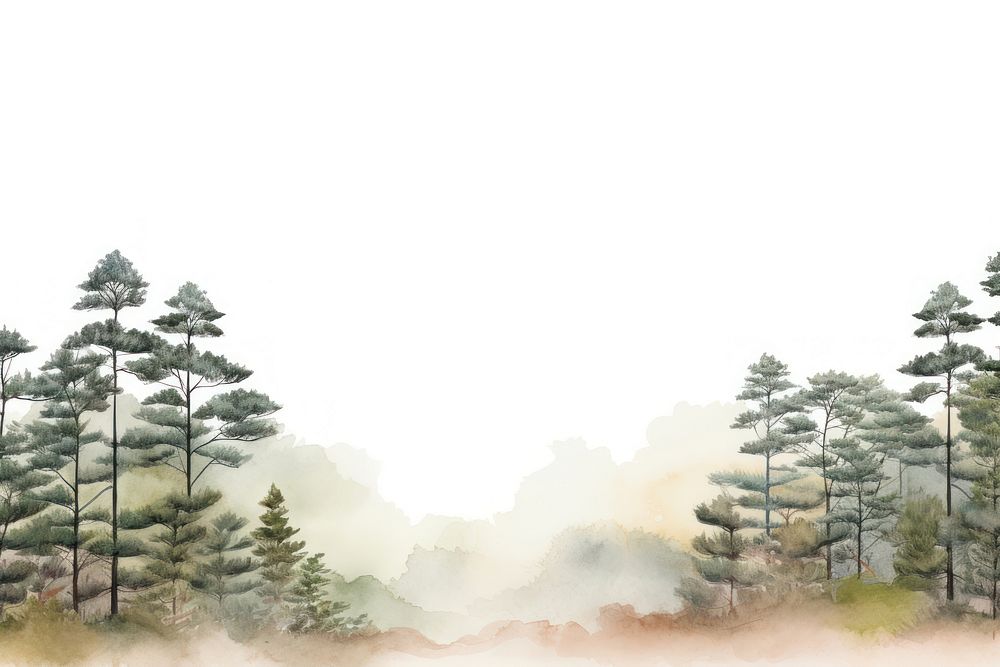 Pine trees border watercolor backgrounds outdoors nature.