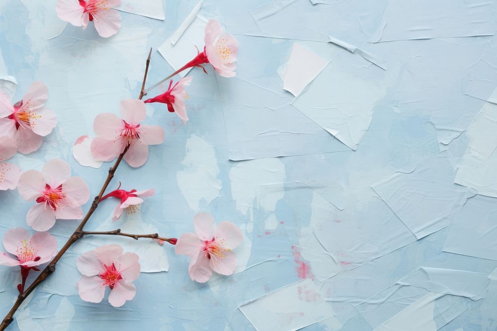 Geometry sakura on blue background backgrounds blossom flower.