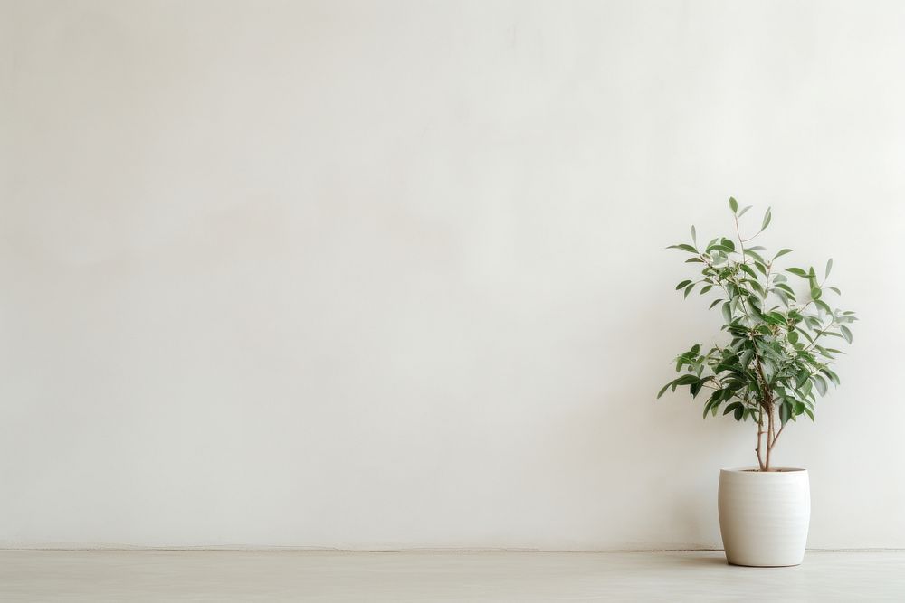 PNG Empty wall plant vase leaf.