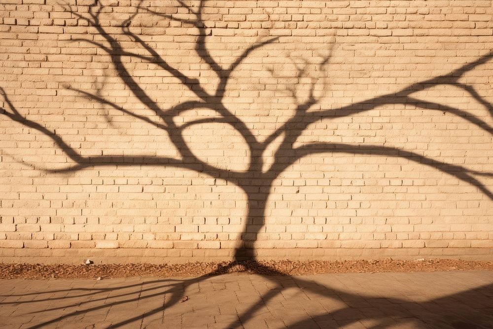 PNG Vintage wall tree architecture shadow.