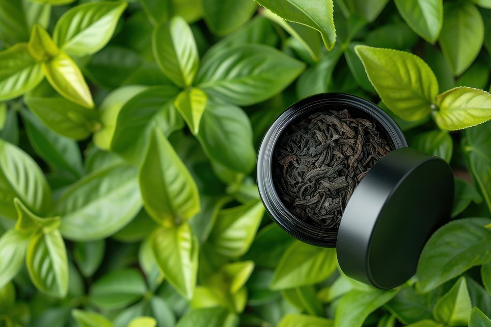 Cosmetic jar tea plant green.