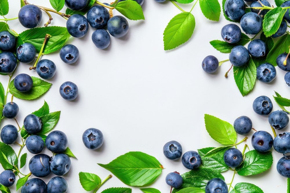 Blueberry blueberry backgrounds fruit.