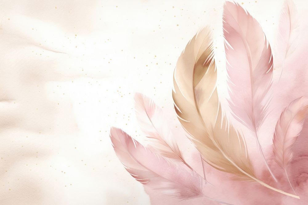 Feathers watercolor background backgrounds pink fragility.
