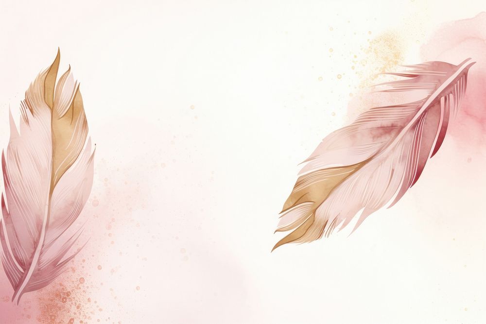 Feathers watercolor background backgrounds pink leaf.