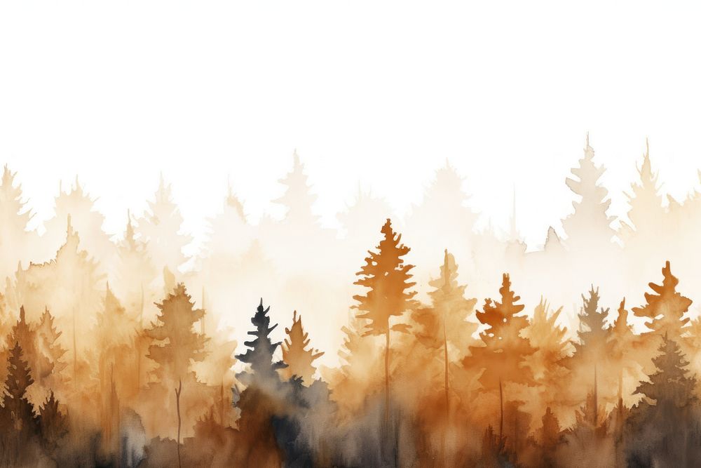 Forest watercolor background backgrounds outdoors nature.