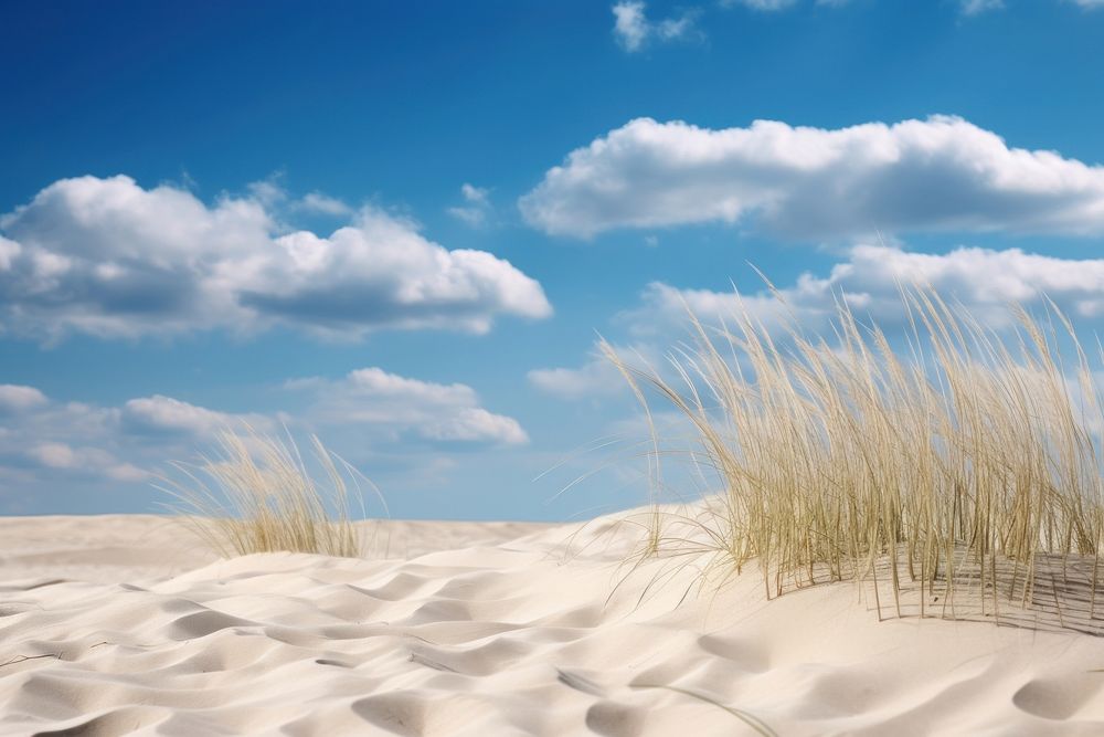 PNG Sand dunes coastal border sky landscape outdoors.