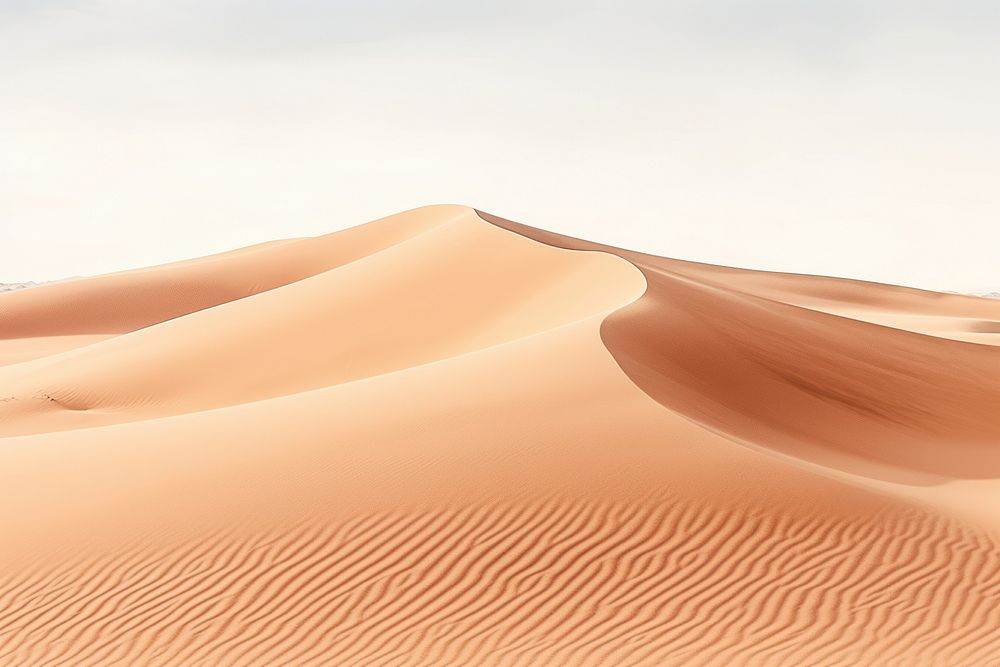 Desert backgrounds outdoors nature.