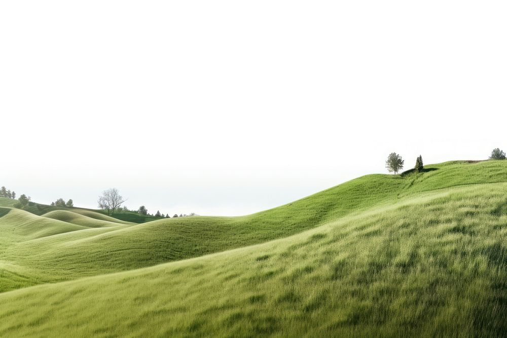 PNG Hill landscape grassland panoramic.