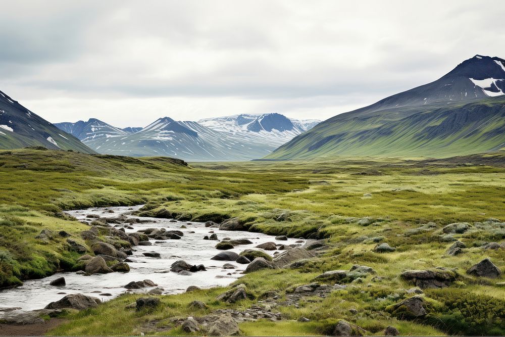Tundra landscape nature wilderness.