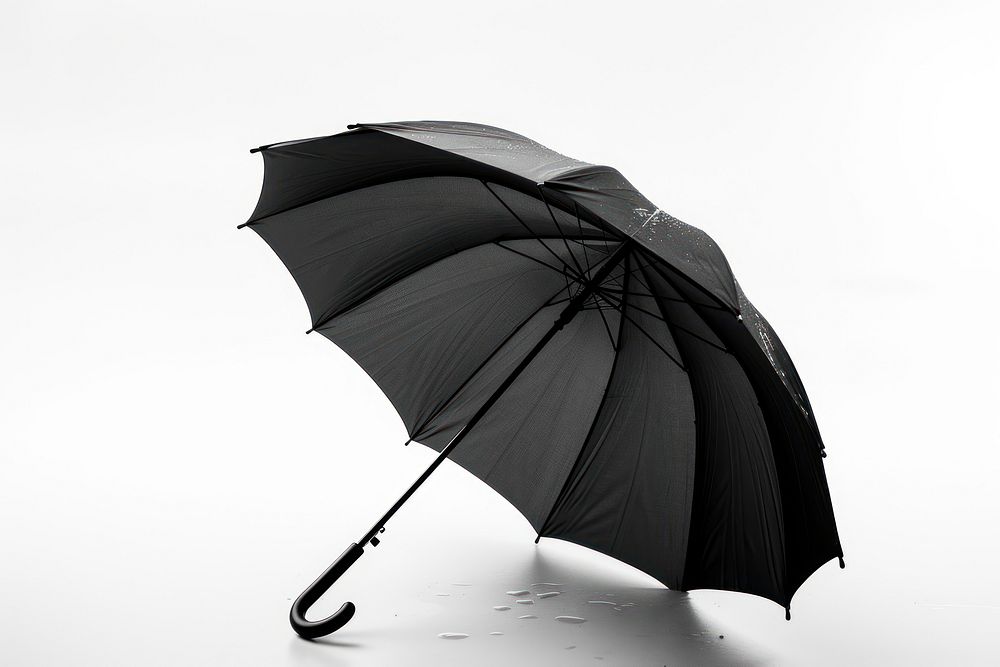 Black umbrella protection monochrome sheltering.