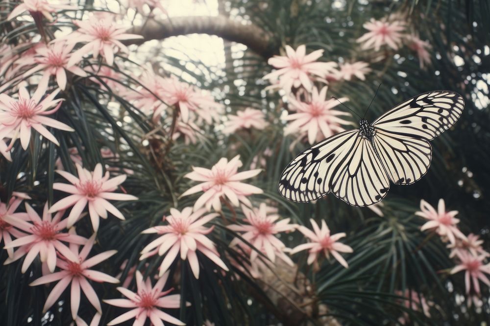 Realistic vintage drawing of butterfly flower outdoors nature.