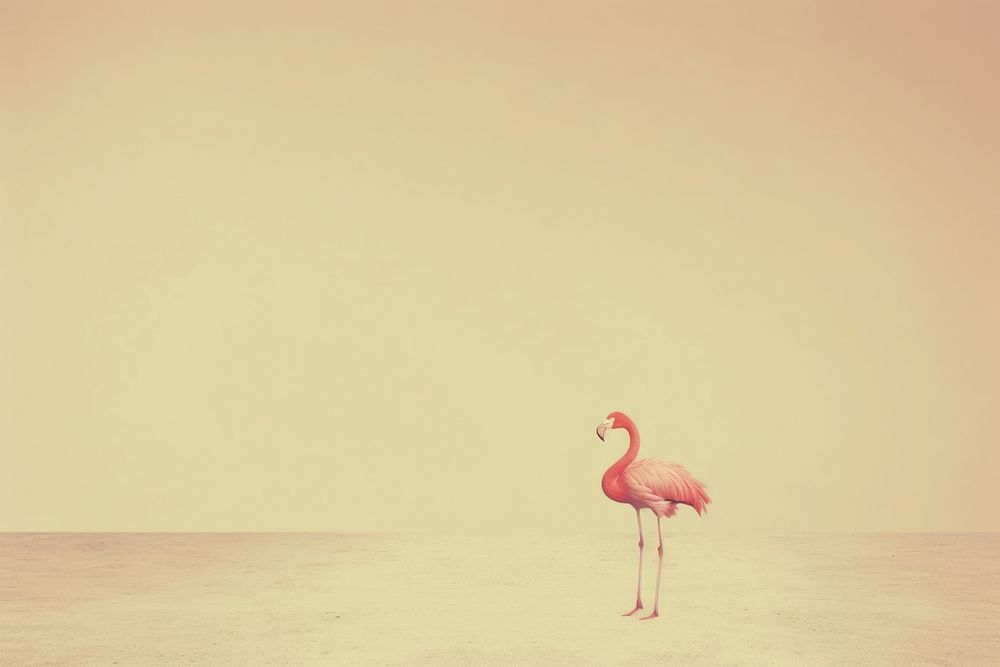 Realistic vintage drawing of flamingo animal bird red.