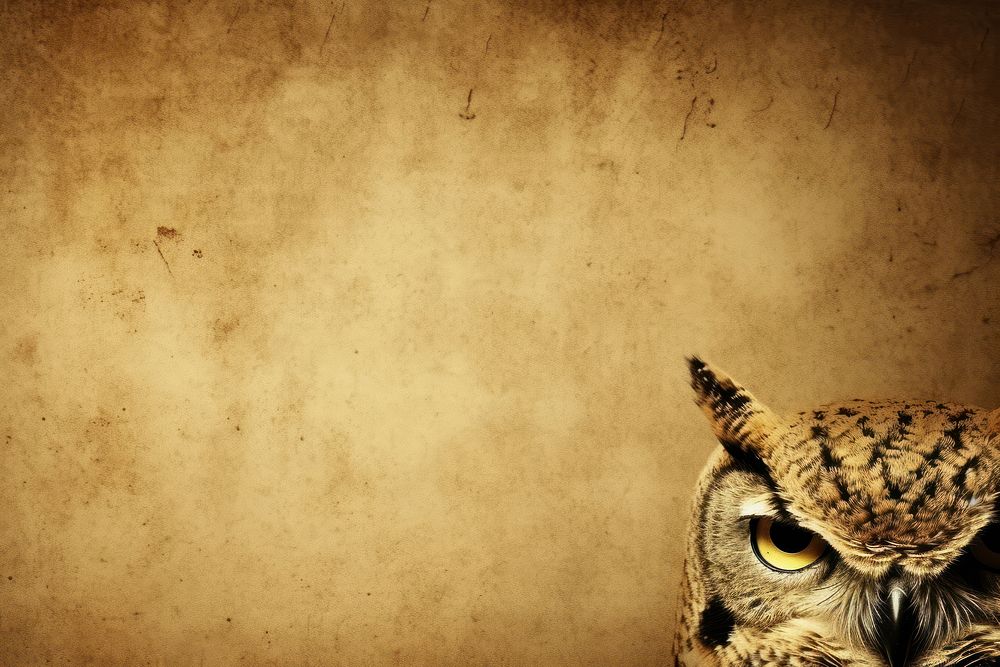 Realistic vintage drawing of owl animal bird photography.