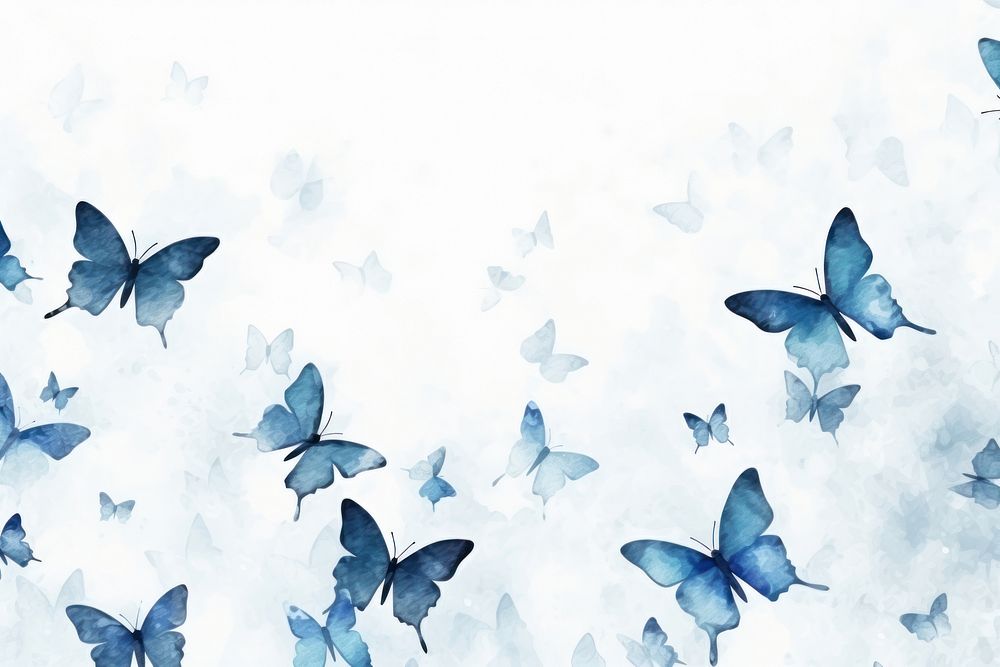 Blue butteflies backgrounds outdoors animal.