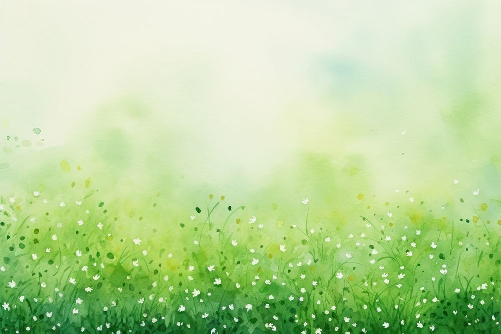Green grass and tiny flowers backgrounds outdoors nature.