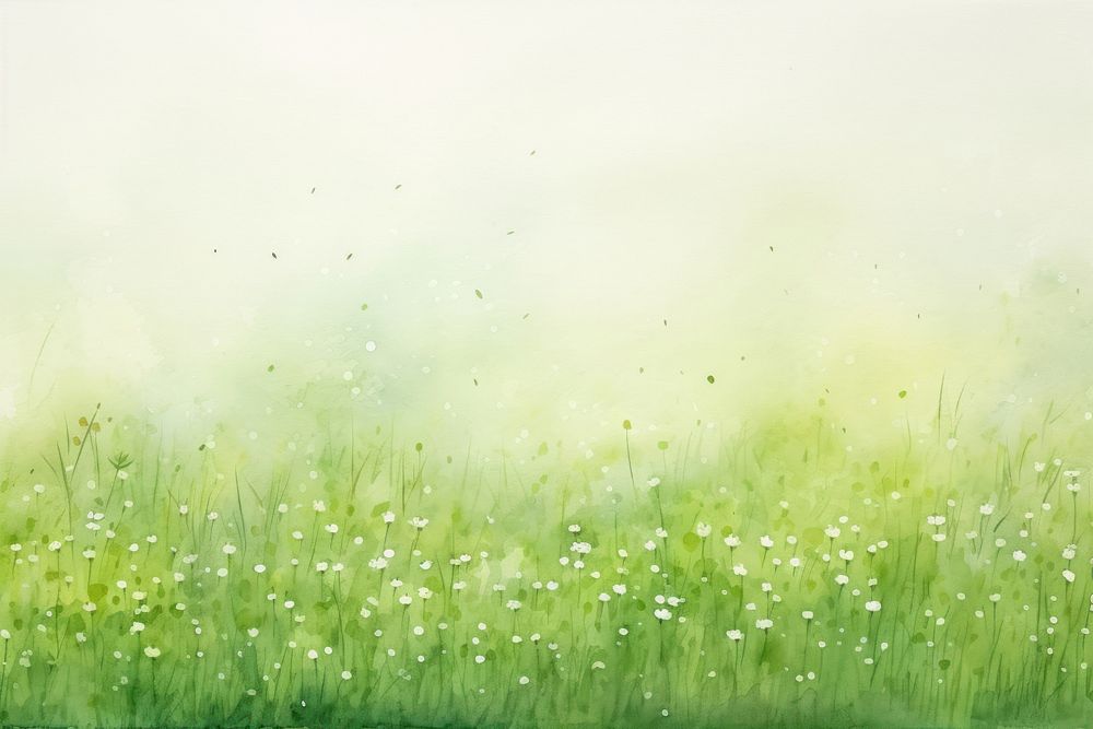 Green grass and tiny flowers backgrounds grassland outdoors.