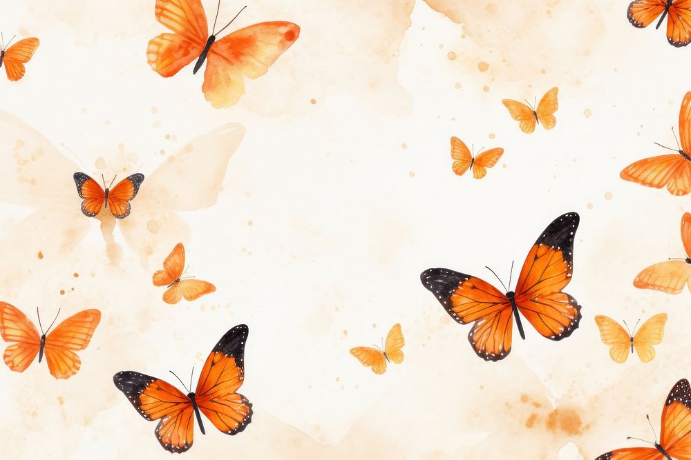 Orange butterflies backgrounds butterfly animal.
