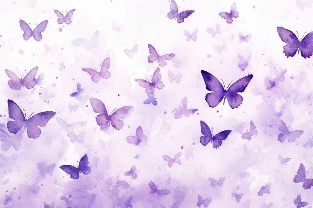 Purple butteflies backgrounds outdoors petal.