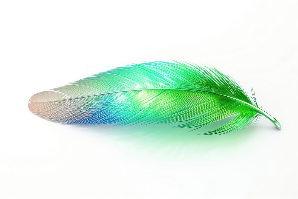Simple parrot feather graphics jewelry green.